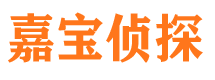 平远市私家侦探